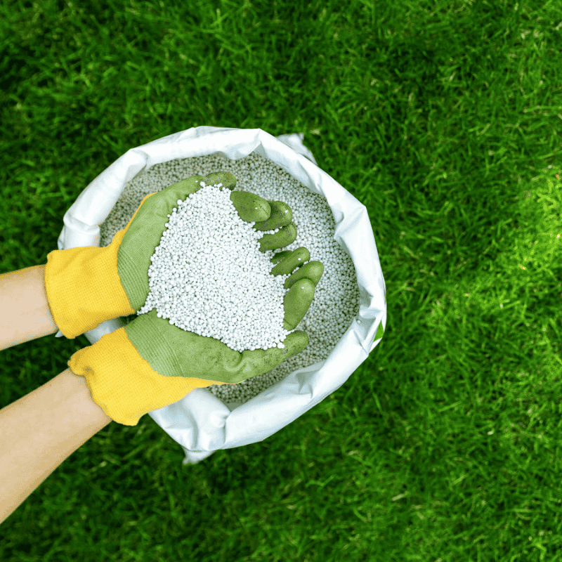 Protected-Urea-Fertiliser Protected-Urea-Fertiliser